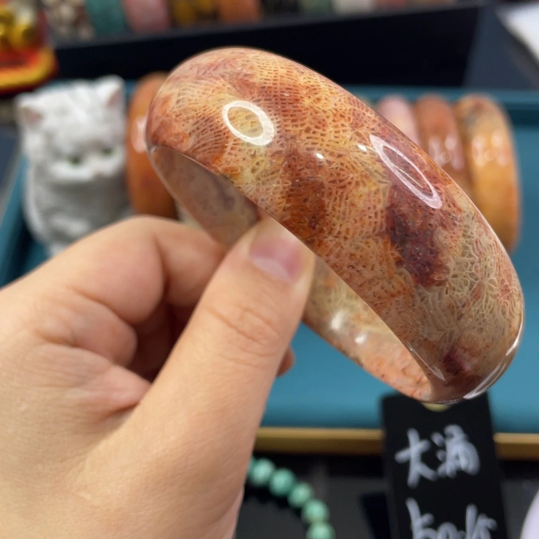 未镶嵌手镯硅化玉