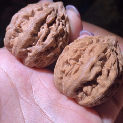 文玩核桃把件东北野生楸子小美24