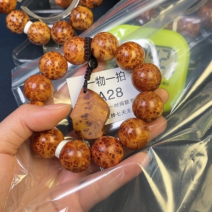 柏木（崖柏）其他情**生28