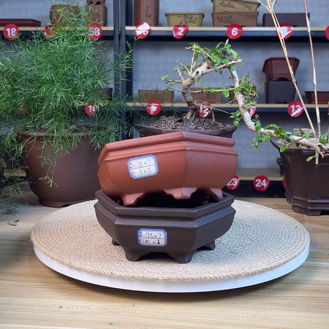 紫砂花盆紫砂花盆