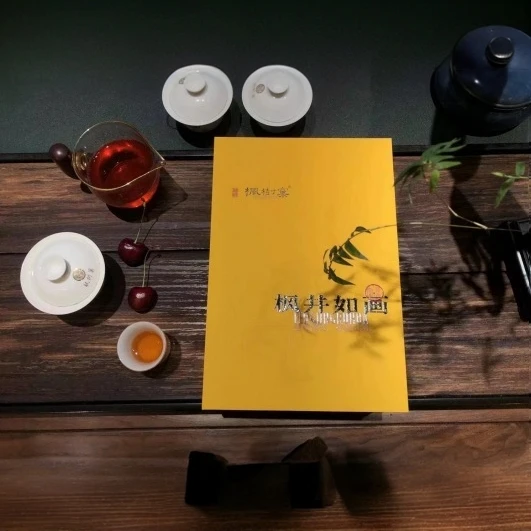 枫树窠山场主 枫树窠代表作风景如画 枫树窠、古井、卢岫老枞各一泡