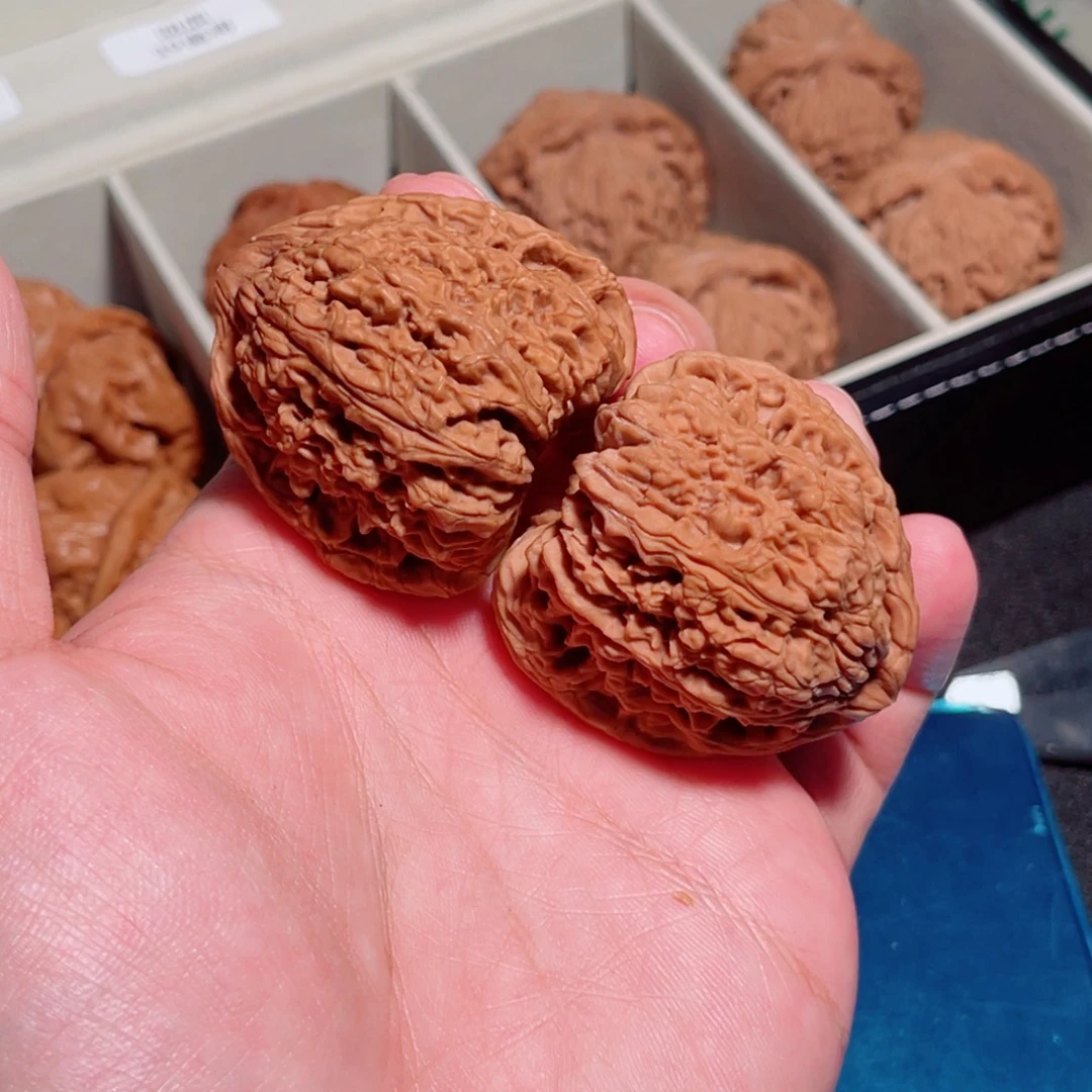 41正三角红皮南将