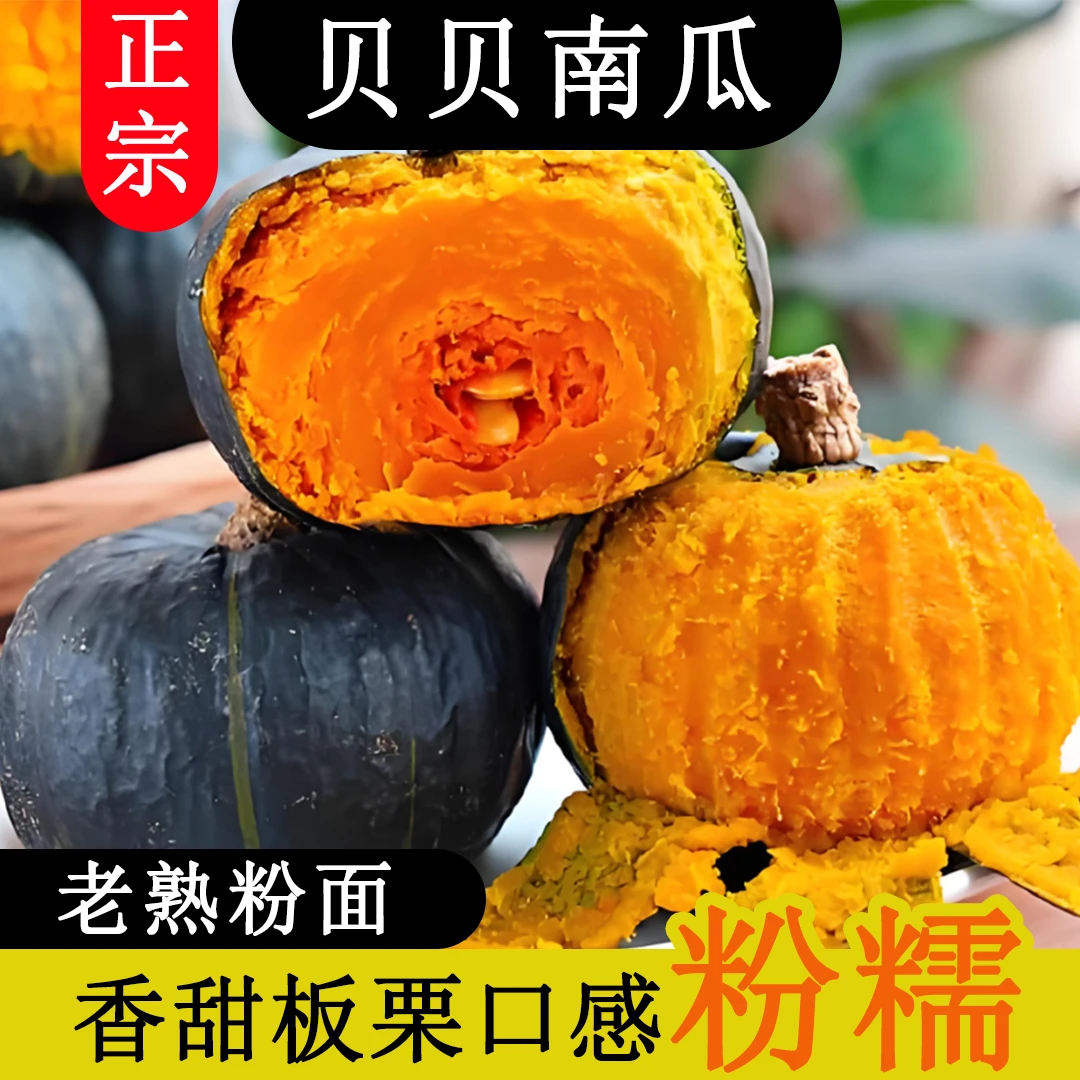 【精品中果】正宗老贝贝南瓜净重3斤-4.5斤板栗味粉面干甜随餐粗粮