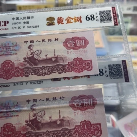 纸三版一元黄金树一张3113