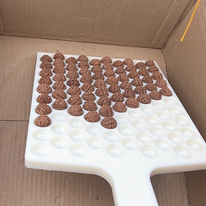 金刚菩提手串马*好评