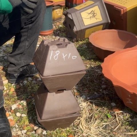 紫砂花盆紫砂花盆盆景盆栽