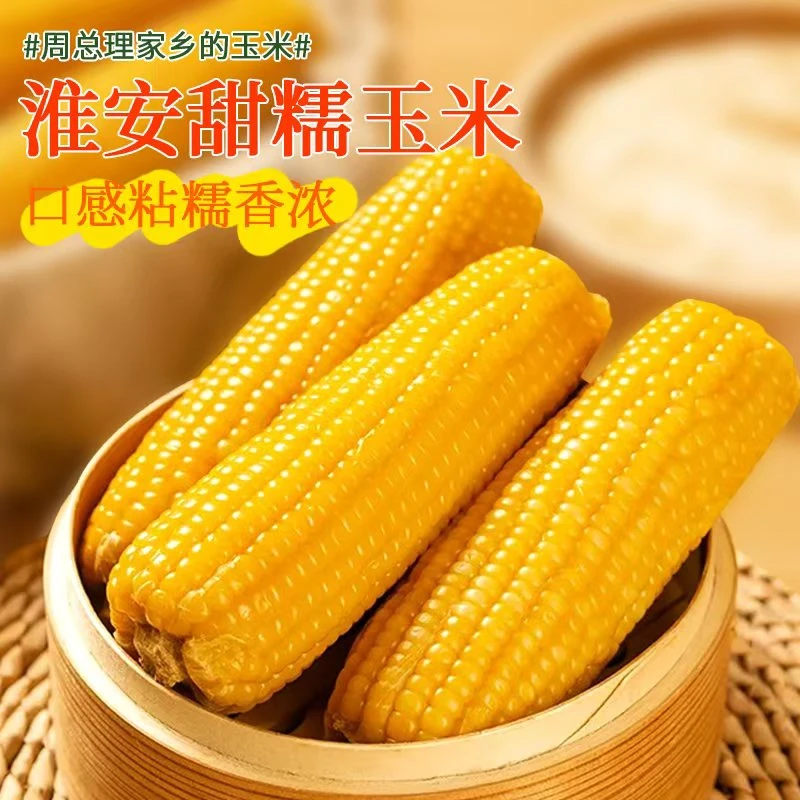 江苏特产淮安复兴玉米甜糯玉米香浓可口营养真空包装