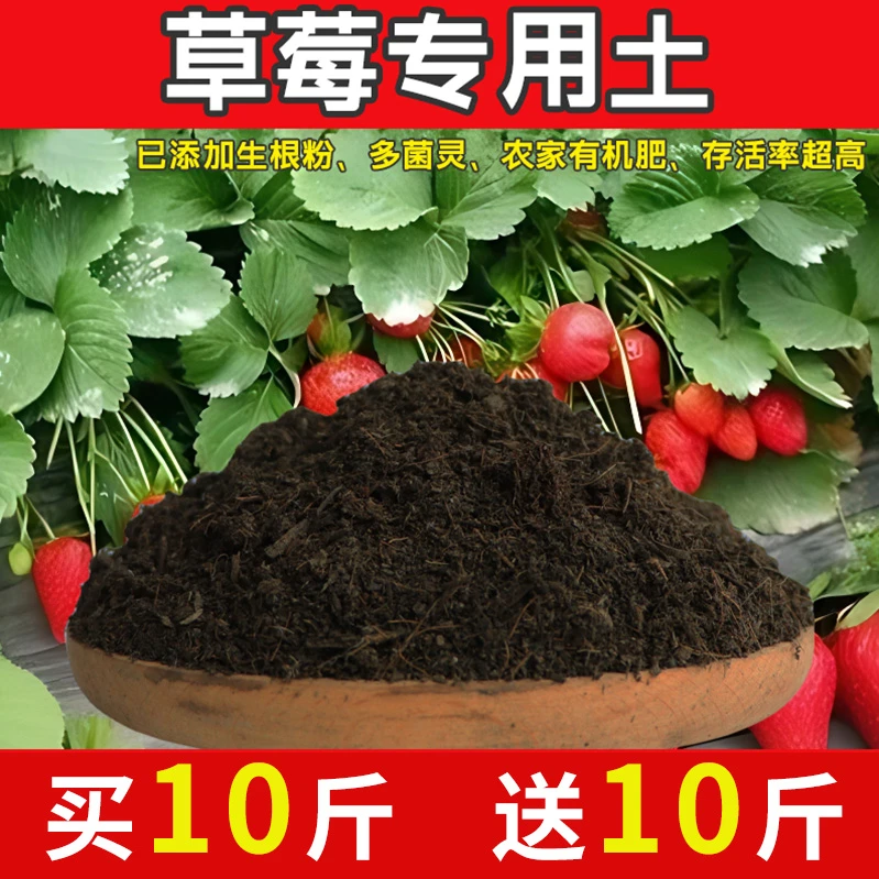 草莓专用土高肥效促生根草莓营养土室内盆栽腐殖土不烧苗配方土