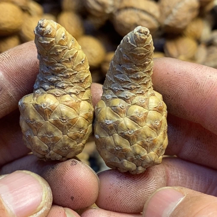 文玩核桃吊坠东北特产357