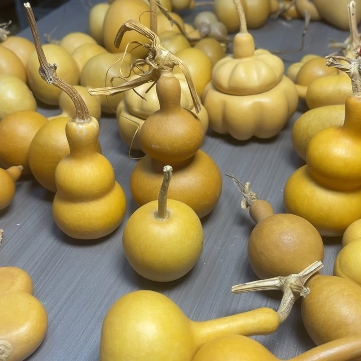 童***王健健康康快快乐乐