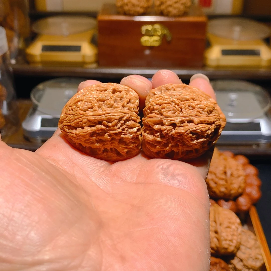 蚂蚁拉丝纹丑疆小高炮