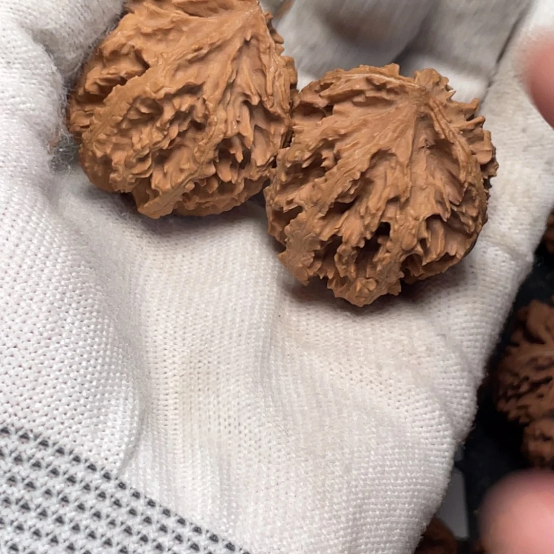 把件桃核11 秦岭灯笼野生小众