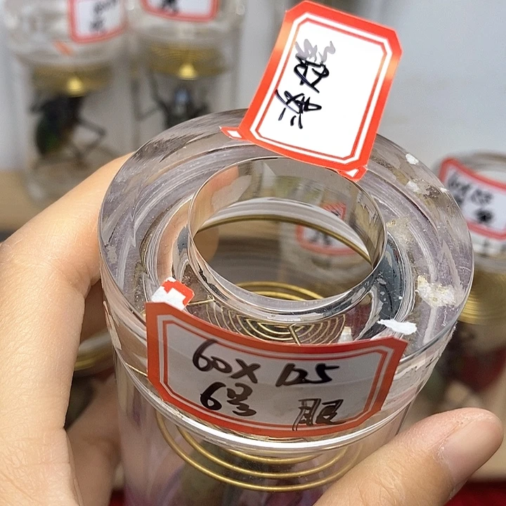 蟋蟀60-125单蝈蝈憋眼三条大路