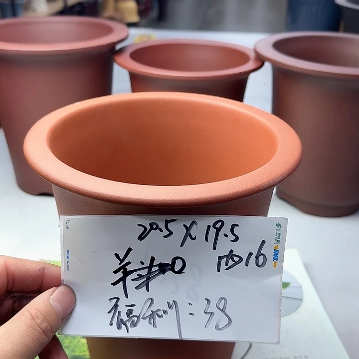 紫砂22222222222222