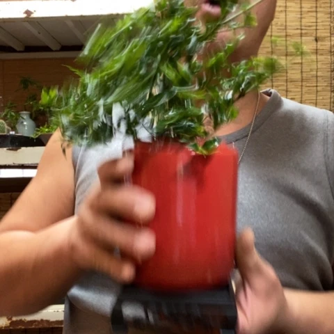 红陶一物一拍所见即所得54