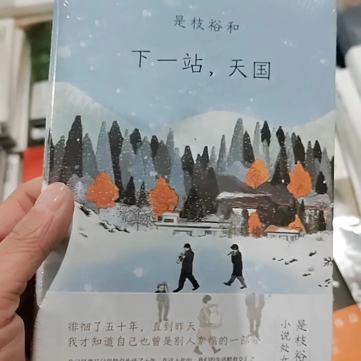 适合预知下一站天国