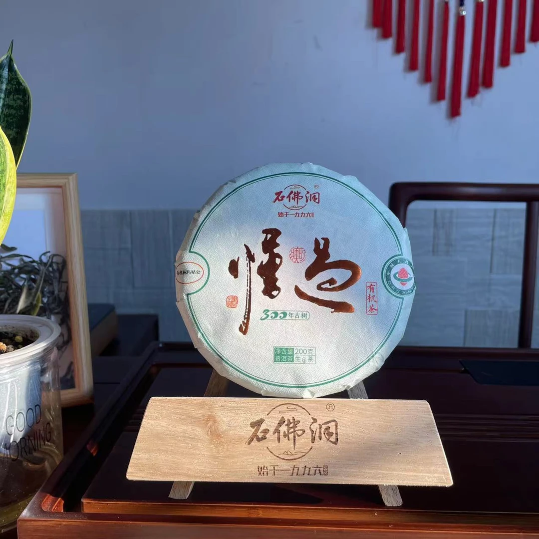 2024年懂过300有机生茶普洱茶生茶200克/饼