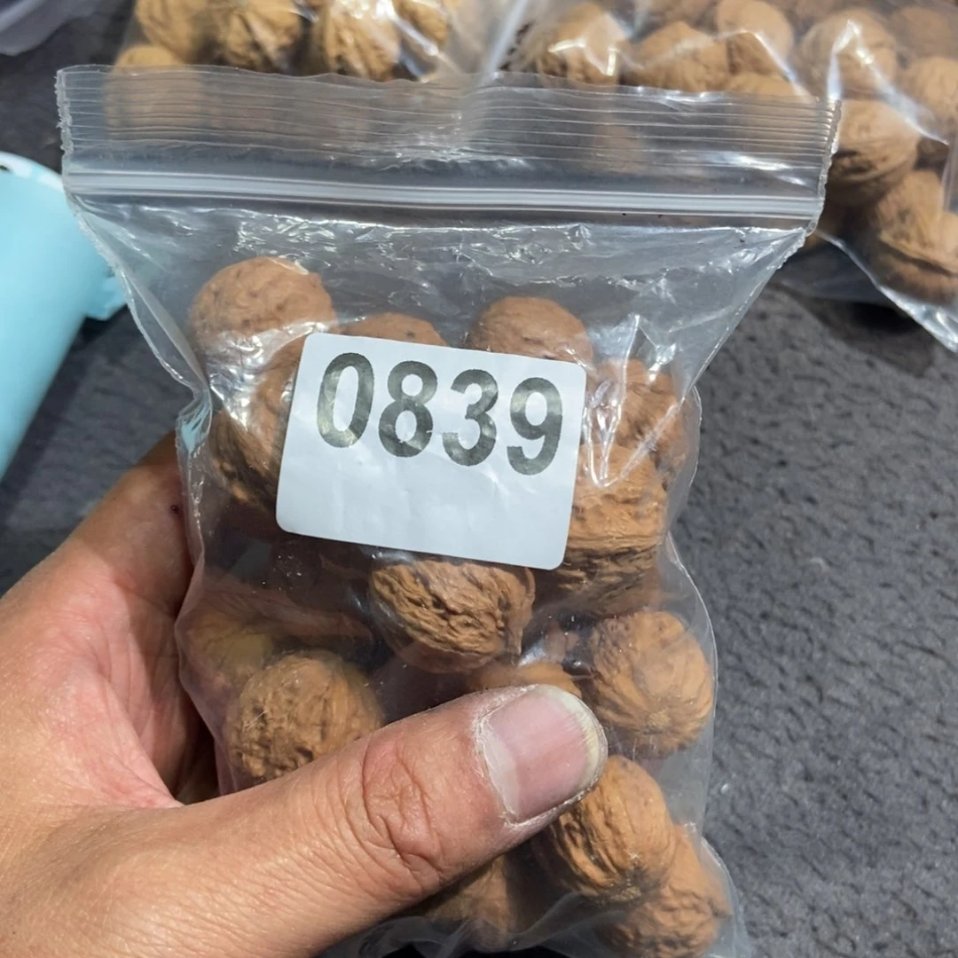 文玩核桃吊坠我****了秋子