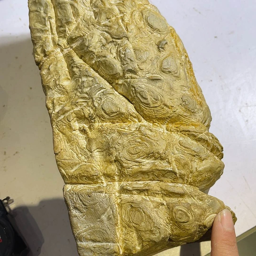 紫砂我们一起走巴走来吧李****3