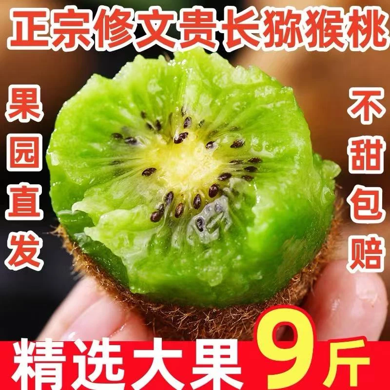 贵州修文县新鲜贵长猕猴桃现摘现发皮薄肉厚甜蜜多汁9斤10斤