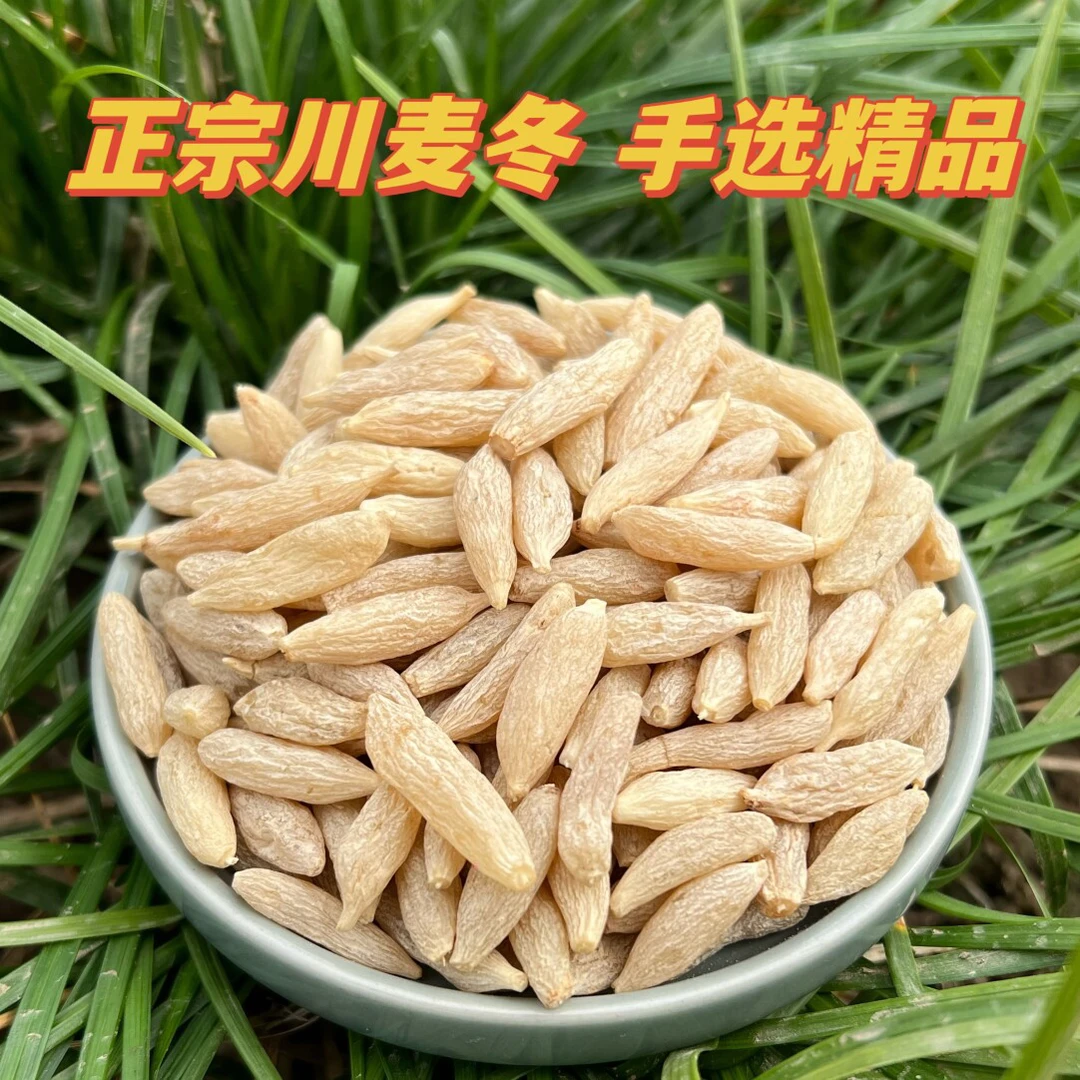 四川绵阳麦冬原产地大颗粒手选精品泡水煮水煲汤