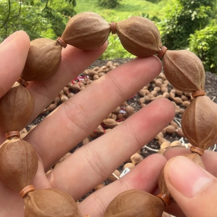 碎***子橄榄核手串/手链1925梅林铁核美丽核