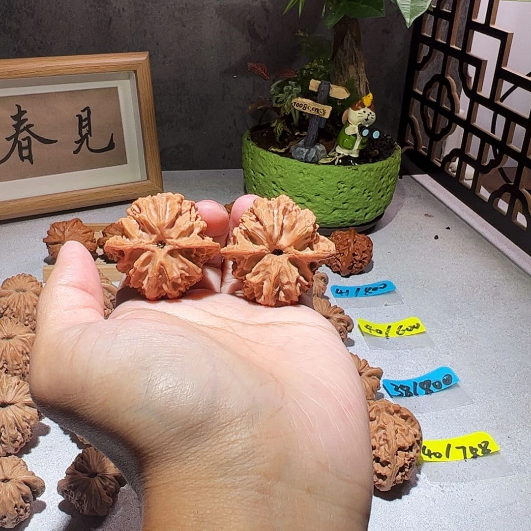 张***～核桃39苹果园全品无修