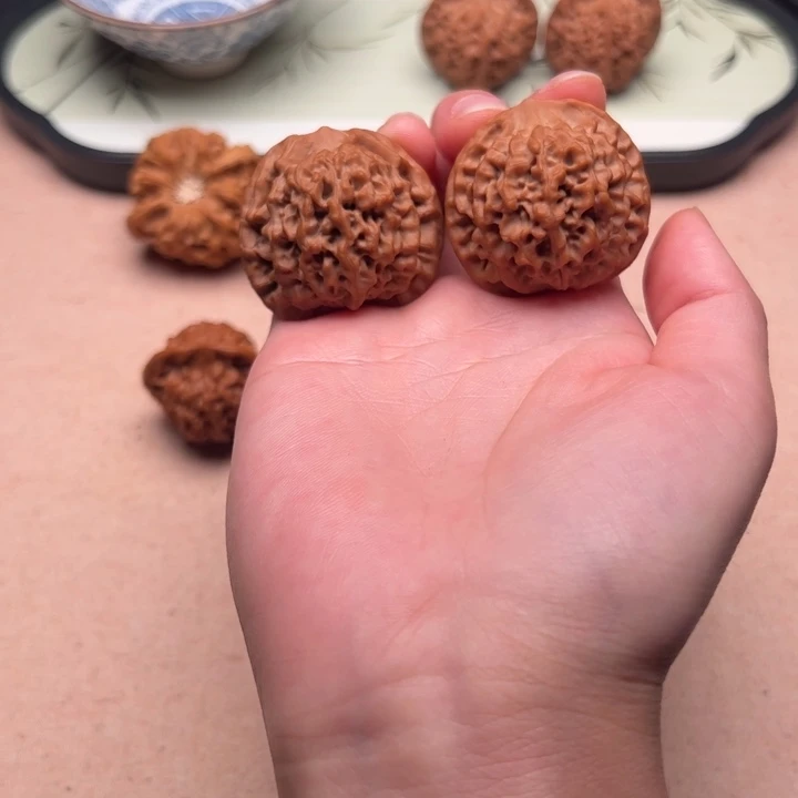 柔***卉大叶紫檀（黑酸枝木类）36全品毕业秦闷毕业