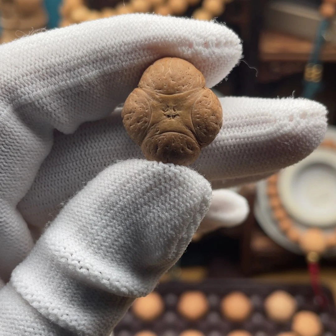 凤眼菩提手串大***肥麒麟