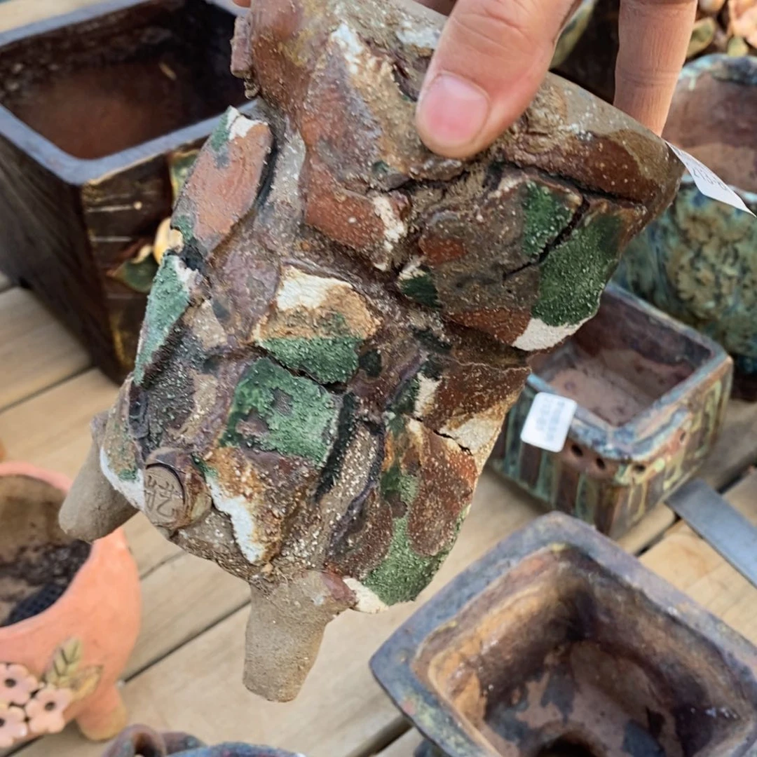 红陶贪*86号多肉盆一个呀