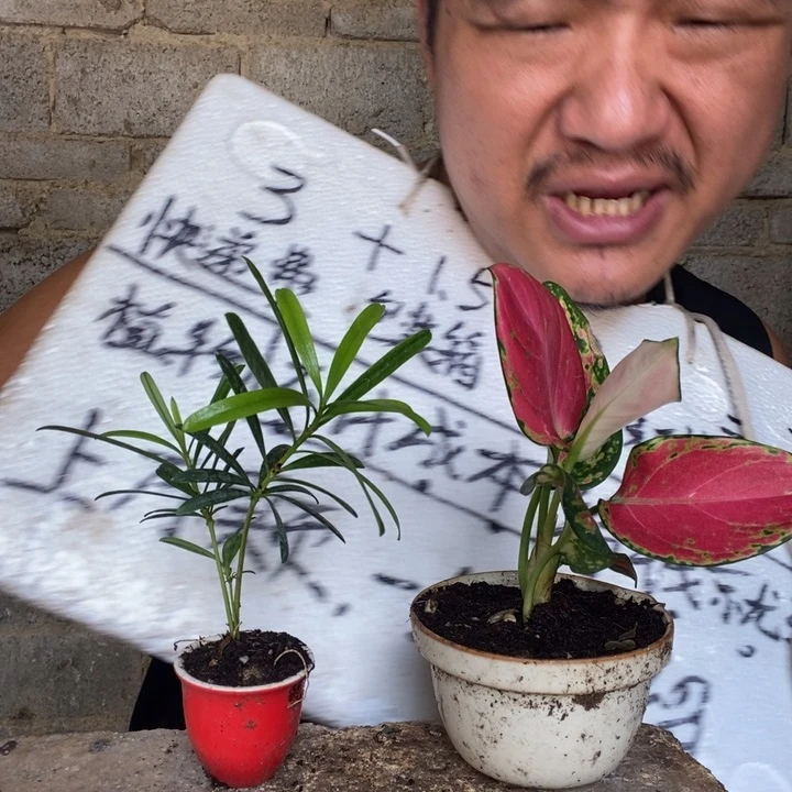 退款拉黑一物一拍93