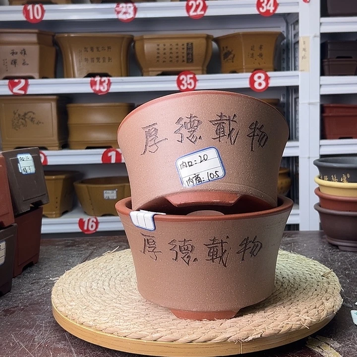花盆紫砂蛇年大吉