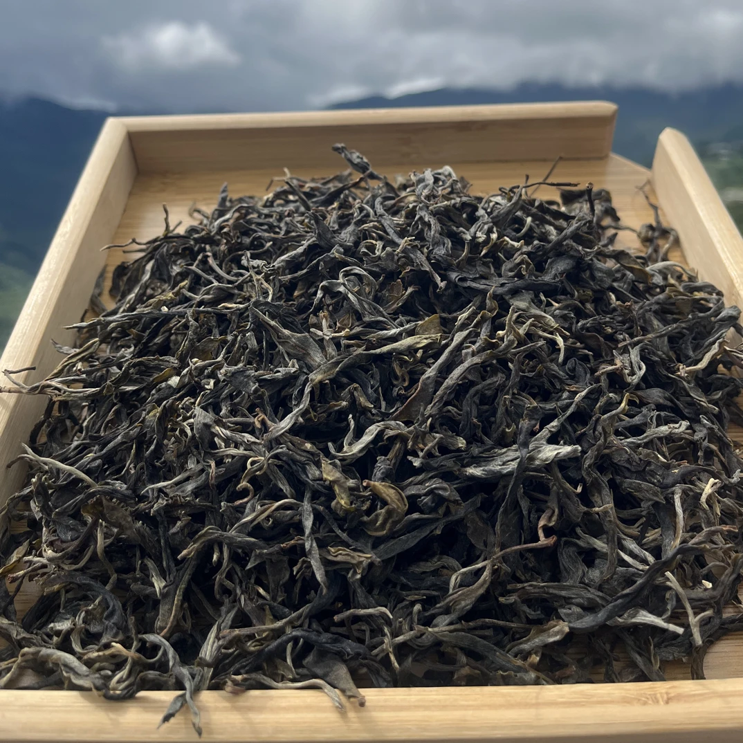 24年春坝卡混采 散茶