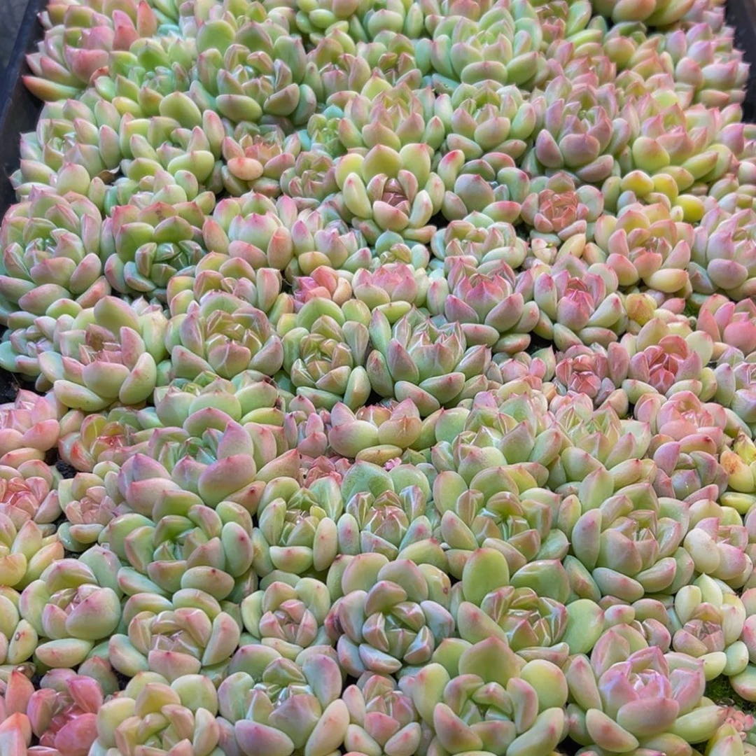 人***途712点点滴滴都大大方方法国