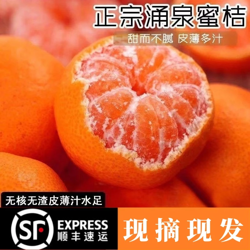 【顺丰包邮】正宗临海涌泉蜜桔现摘现发皮薄无核无渣高山无籽蜜桔