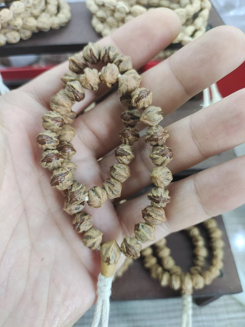 8.25+大尺百香籽