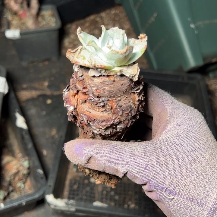 1637哈哈哈哈哈哈哈哈哈