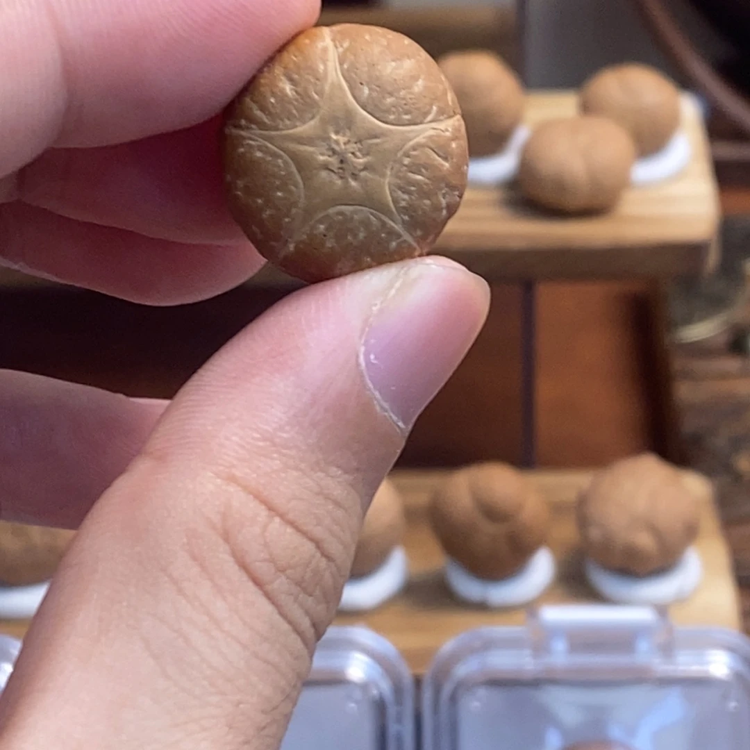 凤眼菩提吊坠18.7正五星上将