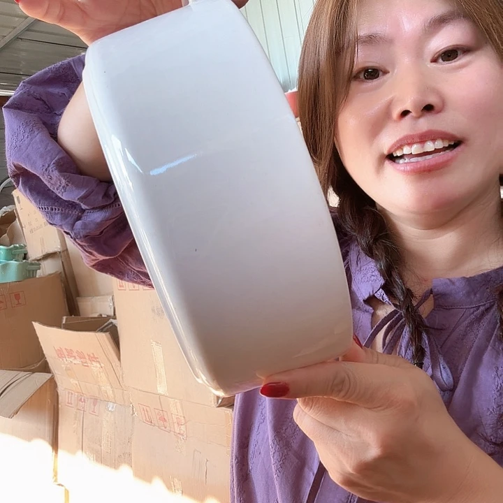高温陶瓷双耳八寸大汤碗微瑕