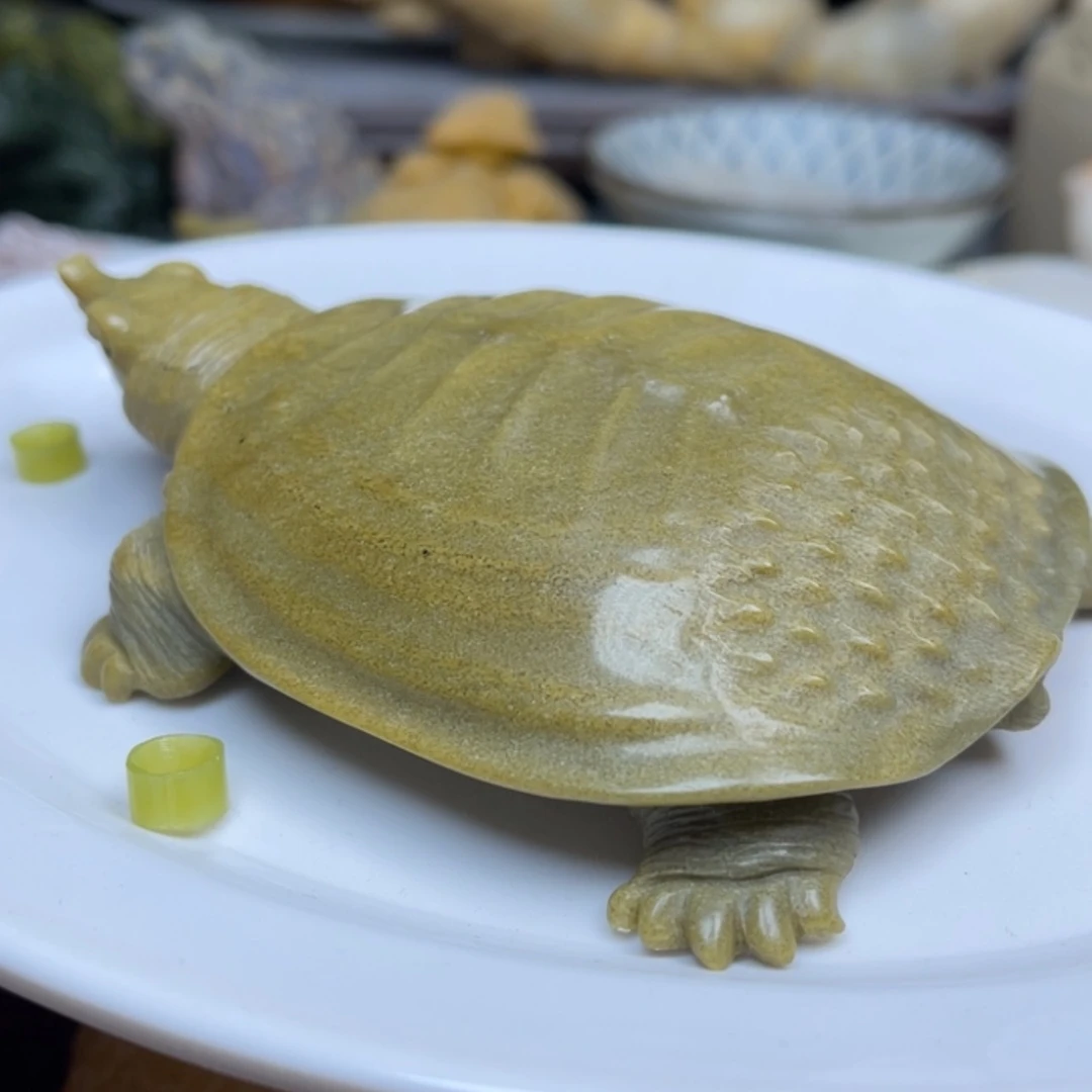 【闪购商品】辽宁石余*生…………………………