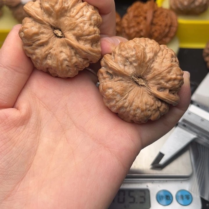 核桃43蛤蟆头6062