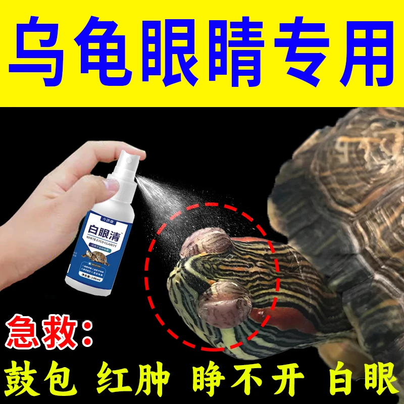 各种龟白眼蒙眼巴西草龟南石龟鼓包红肿小乌龟眼睛睁不开怎么办