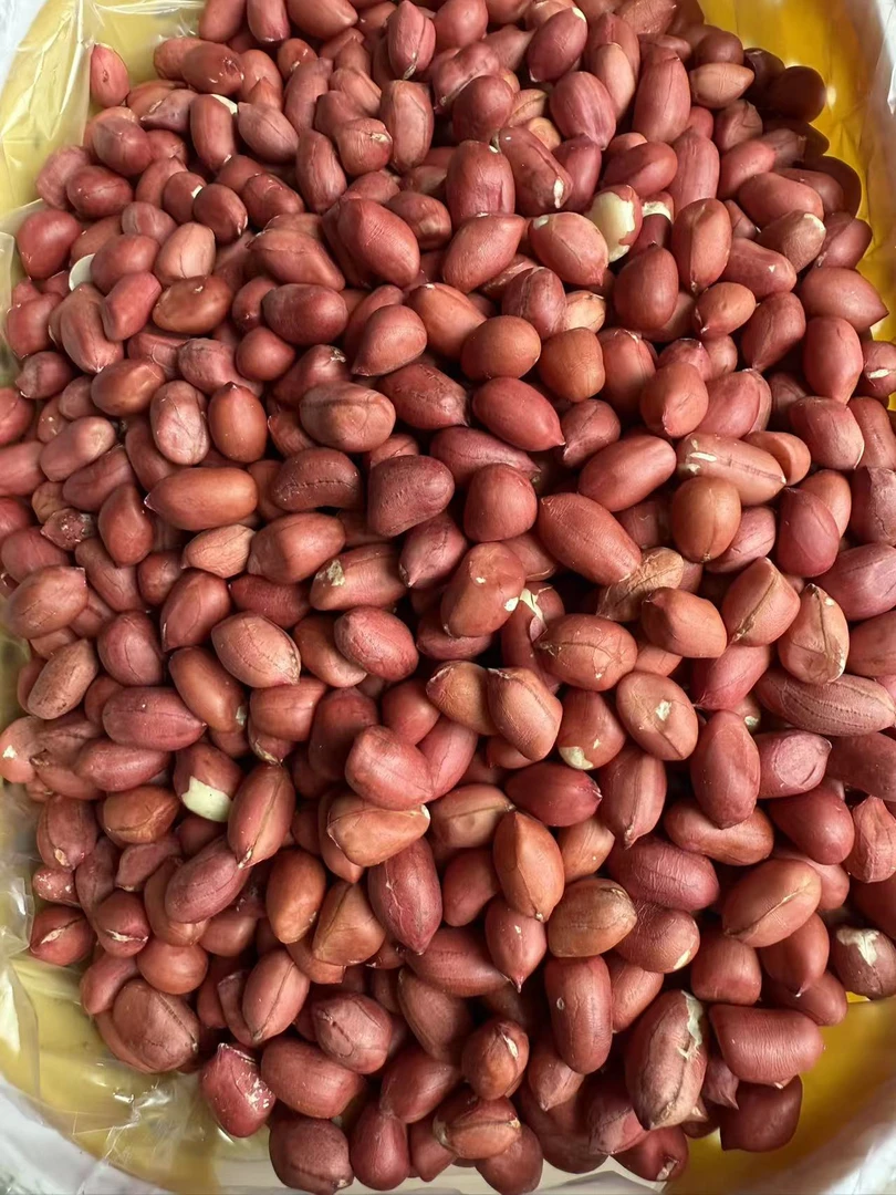 精选新鲜红皮花生米新货农家红衣小粒花生