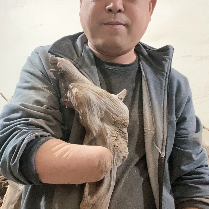 北太行山崖柏陈化料