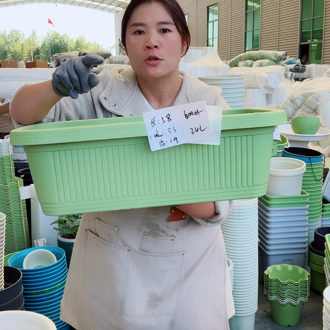 菜盆600#果绿色3个无托