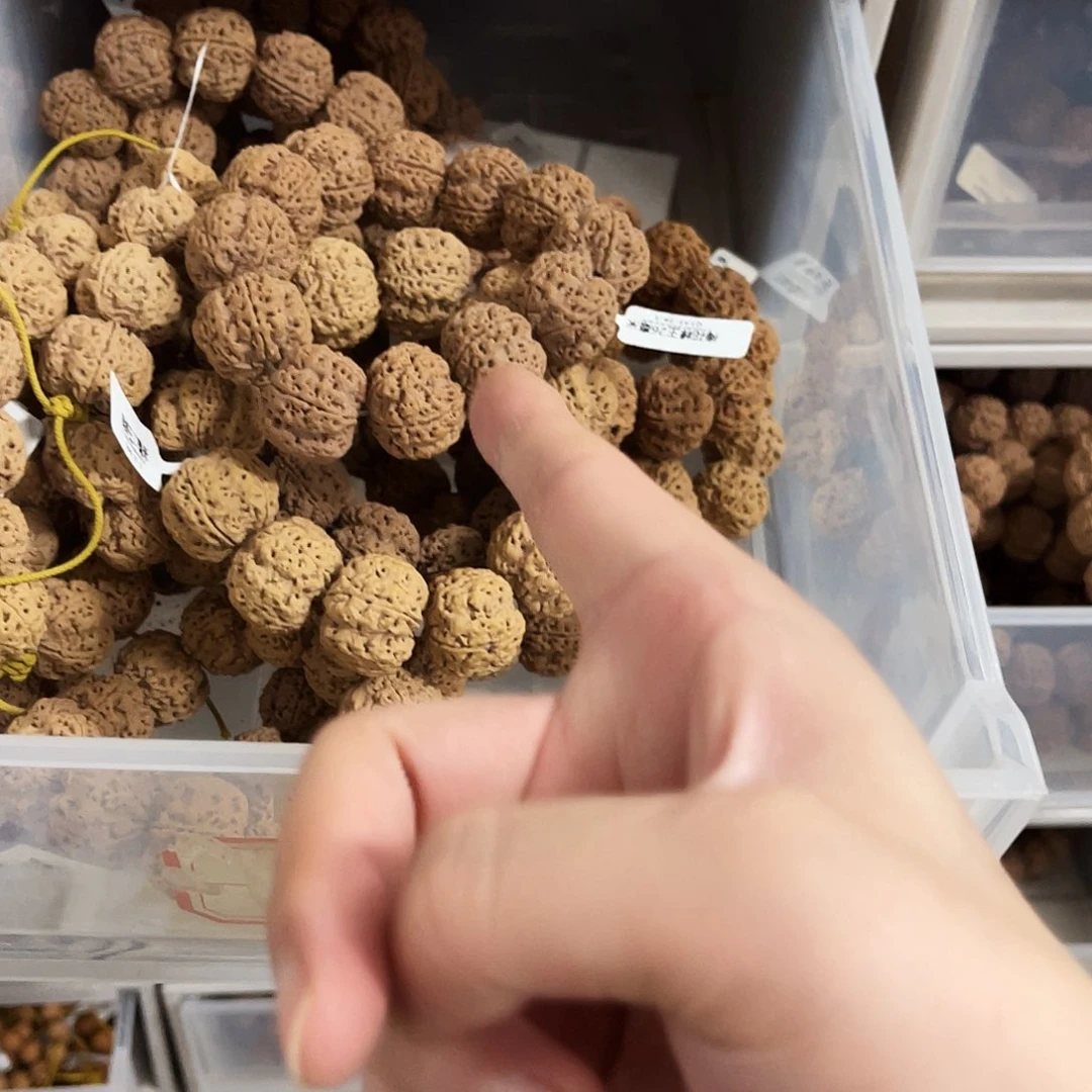 金刚菩提手串五行蜂王25毫米