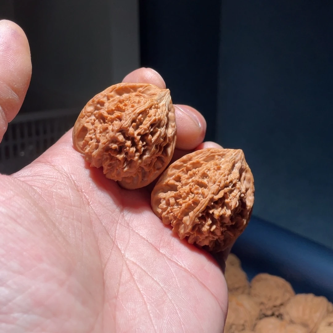 核桃手串/手链R*739全品满天星