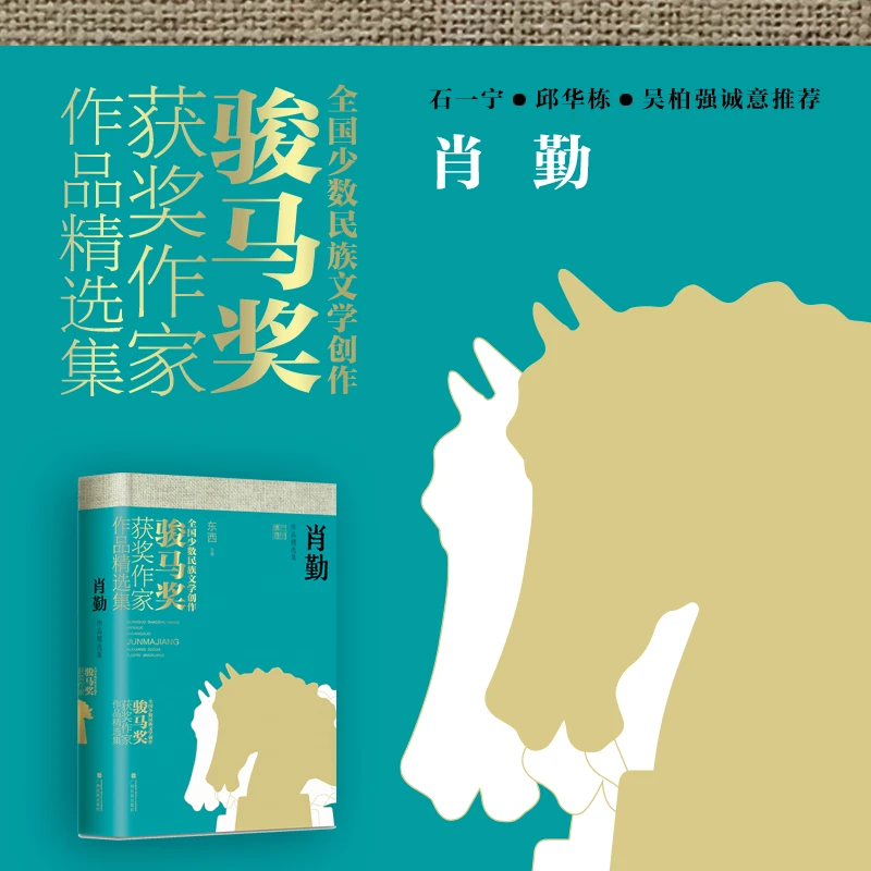 肖勤作品精选集 常规版