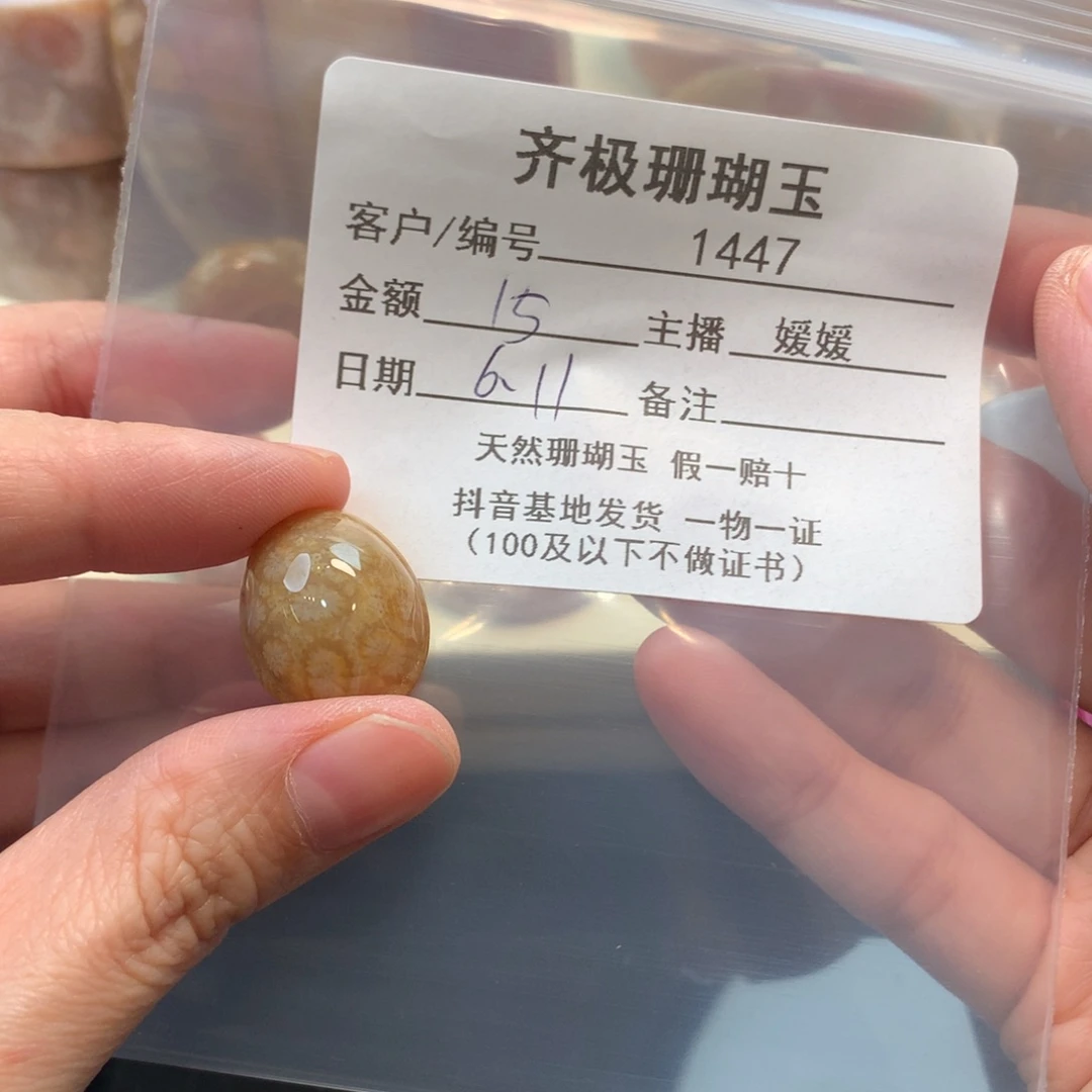 硅化珊瑚（珊瑚玉）未镶嵌颈饰这****过