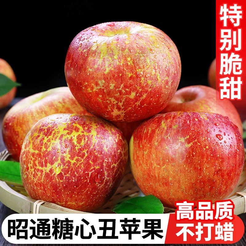 【坏果包赔】云南昭通丑苹果正宗冰糖心红富士新鲜水果应季当季整箱